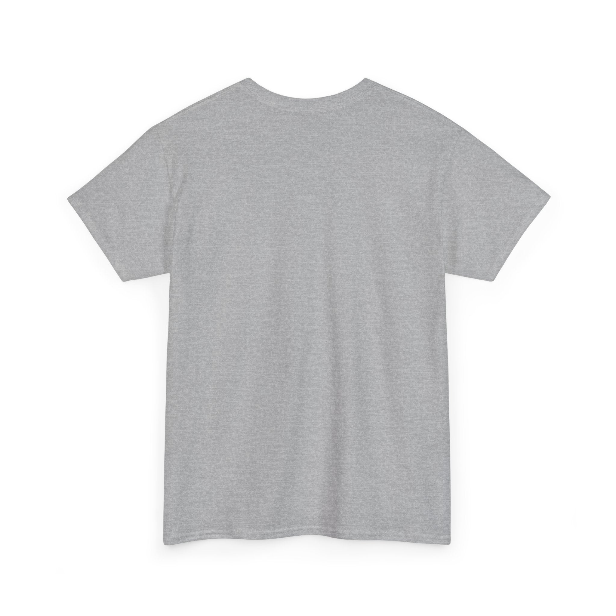 Dragon Hoarder T-Shirt — "I Like Shiny Things And I Will Hoard Them All" Graphic Tee