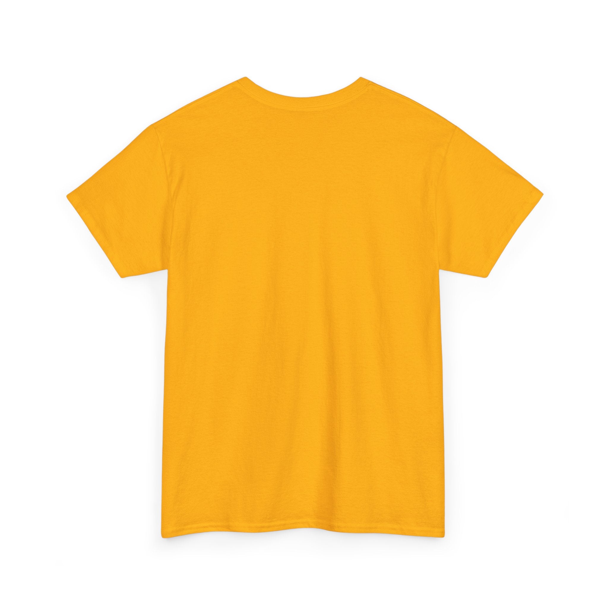 Dragon Hoarder T-Shirt — "I Like Shiny Things And I Will Hoard Them All" Graphic Tee